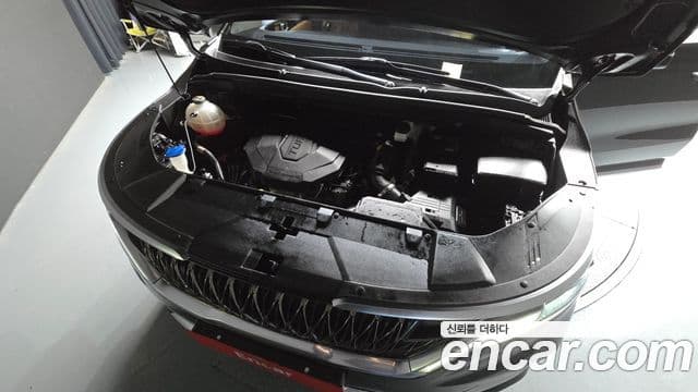 Kia Carnival 4세대 Noblesse, 2021 6