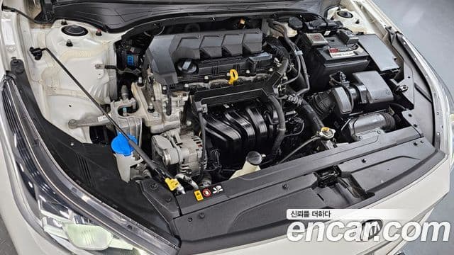 Kia All New K3 Noblesse, 2019 6