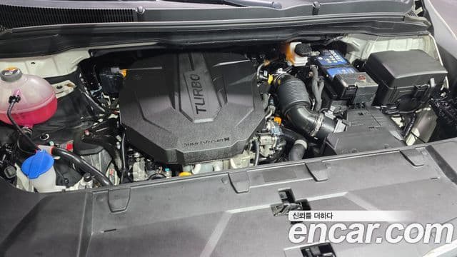 Kia Carnival 4세대 Prestige, 2021 6