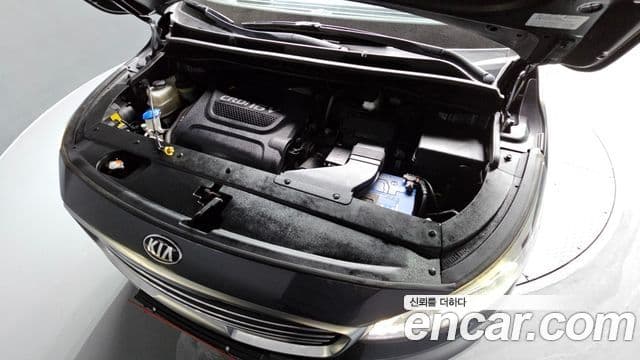 Kia All New Carnival Noblesse, 2016 6