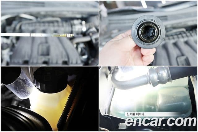 Renault Korea(Samsung) SM6 2.0 LPe RE (для людей с инвалидностью), 2019 19