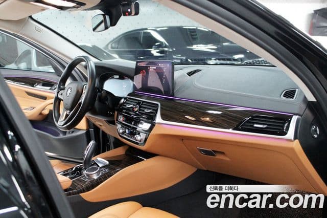 BMW 5시리즈 (G30) Luxury, 2022 10