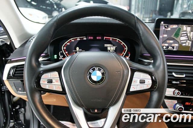 BMW 5시리즈 (G30) Luxury, 2022 13