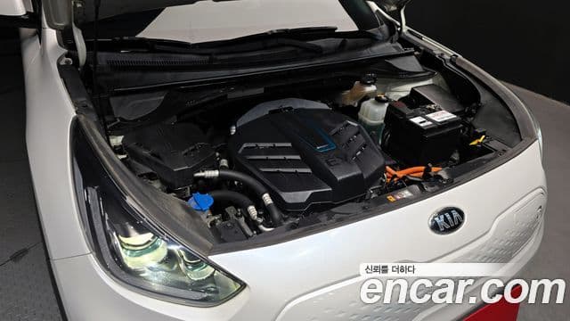 Kia Niro EV Noblesse, 2019 6