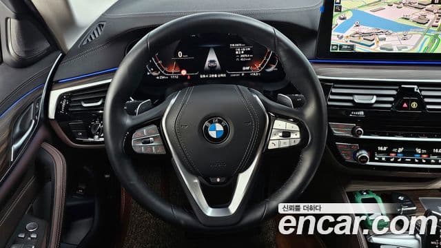 BMW 5시리즈 (G30) Luxury, 2023 13