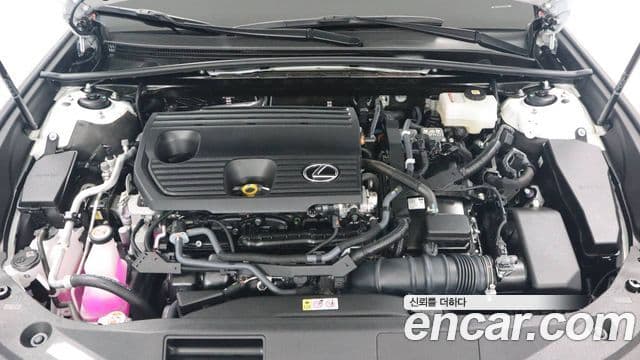 Lexus ES300h 7세대 Luxury Plus, 2025 6