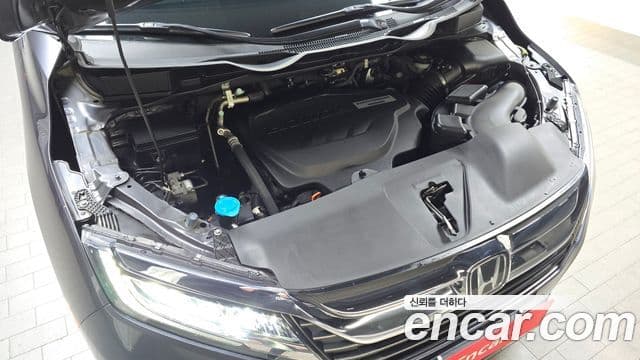 Honda Odyssey 5세대, 2019 6