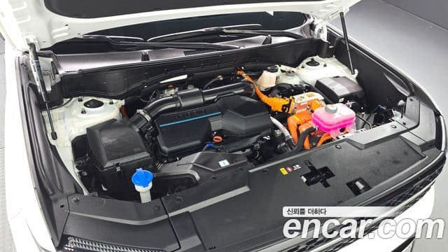 Hyundai Santa Fe (MX5) Calligraphy, 2024 6