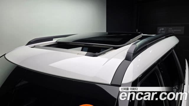 Hyundai Santa Fe (MX5) Calligraphy, 2024 16