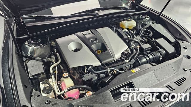 Lexus ES300h 7세대 Executive, 2019 6