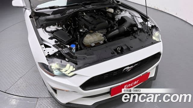 Ford Mustang кабриолет, 2021 6