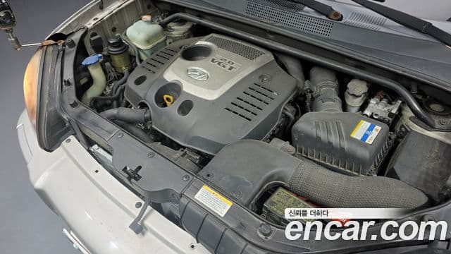 Hyundai Tucson Style Pack, 2006 6