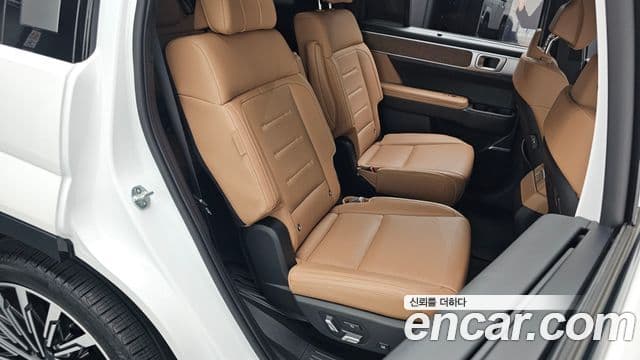 Hyundai Santa Fe (MX5) Calligraphy, 2024 12