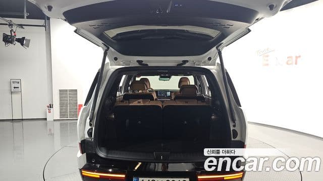 Hyundai Santa Fe (MX5) Calligraphy, 2024 21