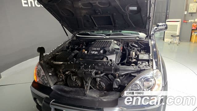 Hyundai 테라칸 люксовая версия, 2004 6