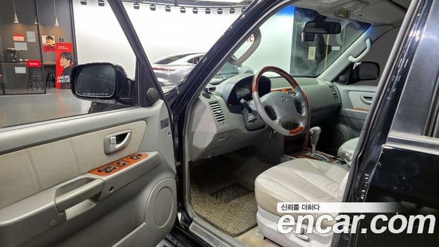 Hyundai 테라칸 люксовая версия, 2004 10