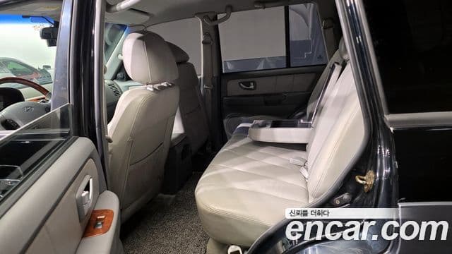 Hyundai 테라칸 люксовая версия, 2004 11