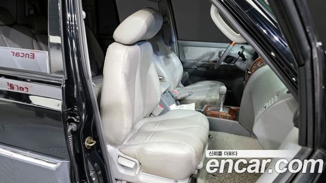 Hyundai 테라칸 люксовая версия, 2004 12
