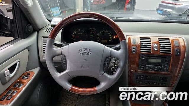 Hyundai 테라칸 люксовая версия, 2004 13