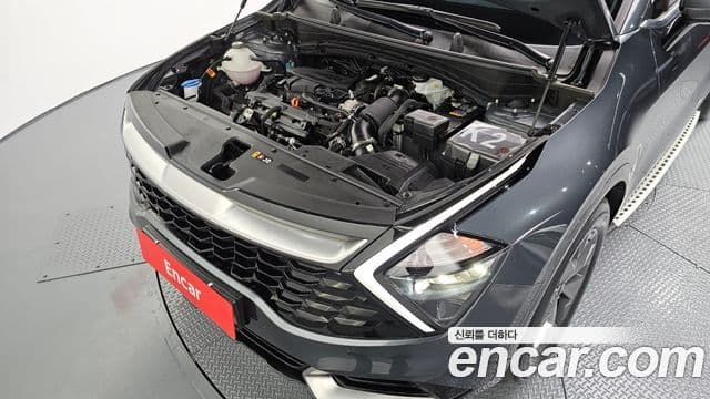 Kia Sportage 5세대 Signature, 2024 6