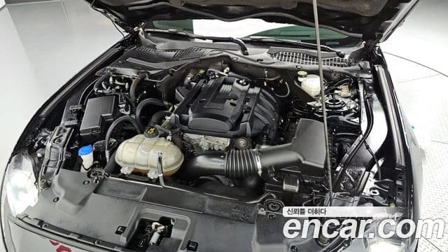 Ford Mustang купе, 2021 6