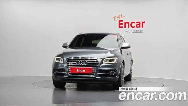 Audi SQ5 8R, 2014 3
