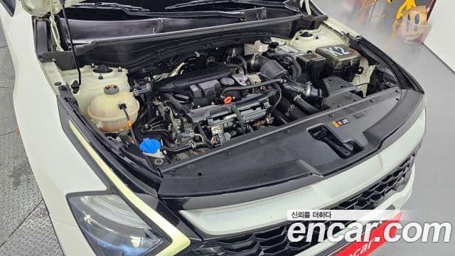 Kia Sportage 5세대 Trendy, 2022 6