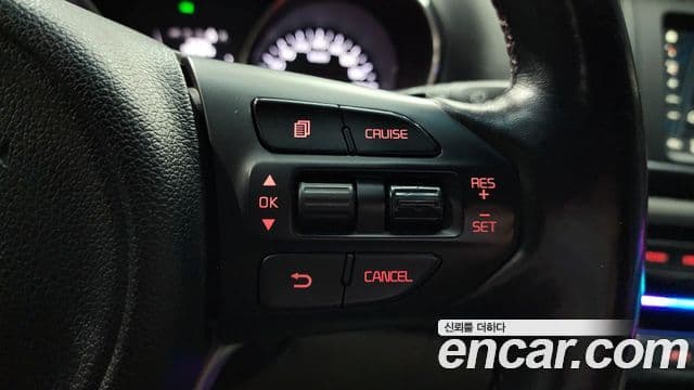 Kia All New Carnival Luxury, 2017 19