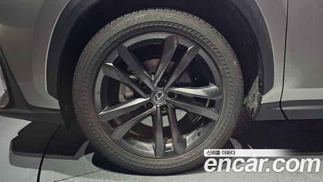 Lexus NX350h 2세대 Premium, 2025 все фото