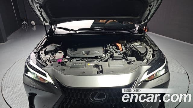 Lexus NX350h 2세대 Premium, 2025 6