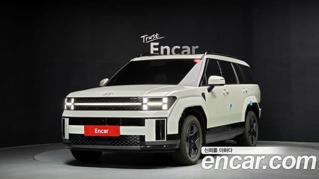 Hyundai Santa Fe (MX5) Calligraphy, 2024 1