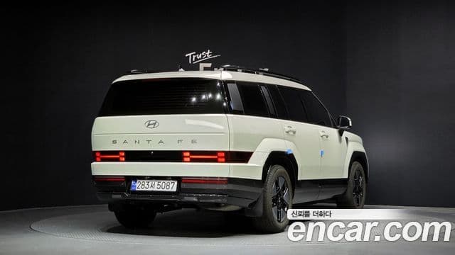 Hyundai Santa Fe (MX5) Calligraphy, 2024 2