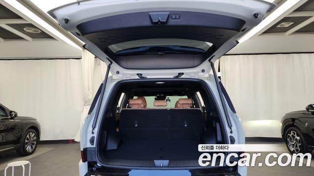 Hyundai Santa Fe (MX5) Calligraphy, 2024 20