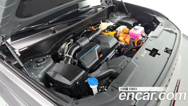 Hyundai Santa Fe (MX5) Calligraphy, 2024 6