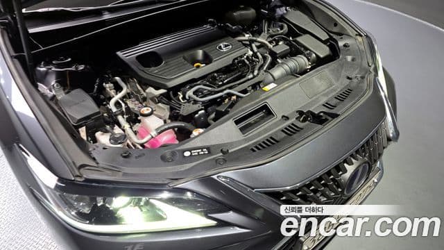 Lexus ES300h 7세대 Luxury Plus, 2022 6