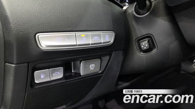 Kia The / новый K9 PlatinumⅡ, 2020 14