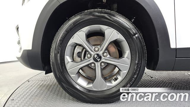 Kia Seltos Trendy, 2023 все фото