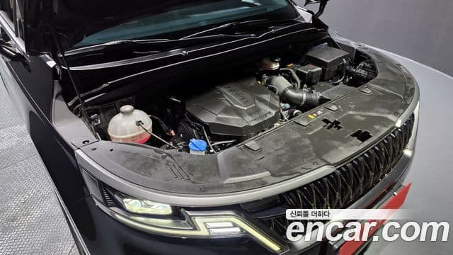 Kia Carnival 4세대 Prestige, 2023 6