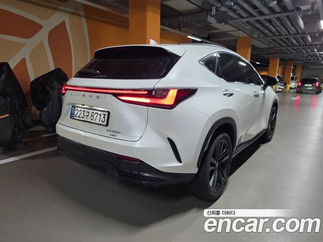 Lexus NX350h 2세대 Premium, 2025 2