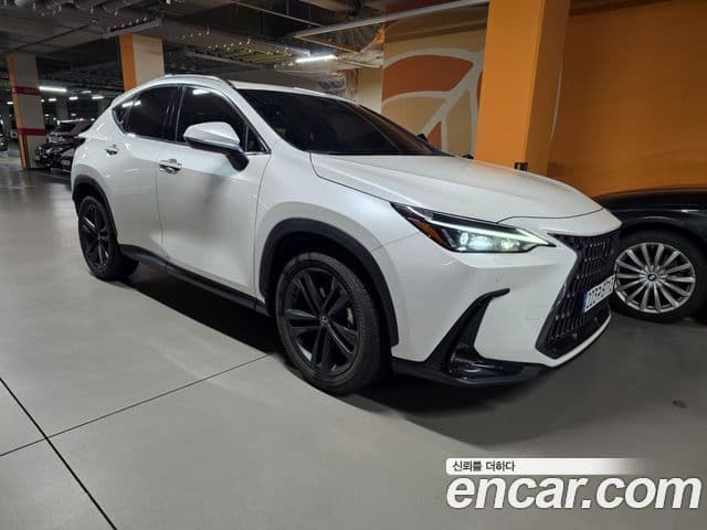 Lexus NX350h 2세대 Premium, 2025 все фото