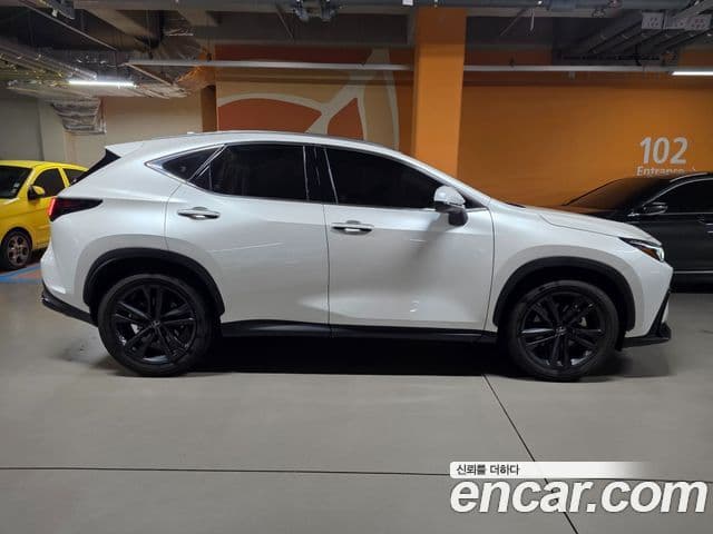 Lexus NX350h 2세대 Premium, 2025 6