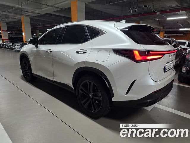 Lexus NX350h 2세대 Premium, 2025 13