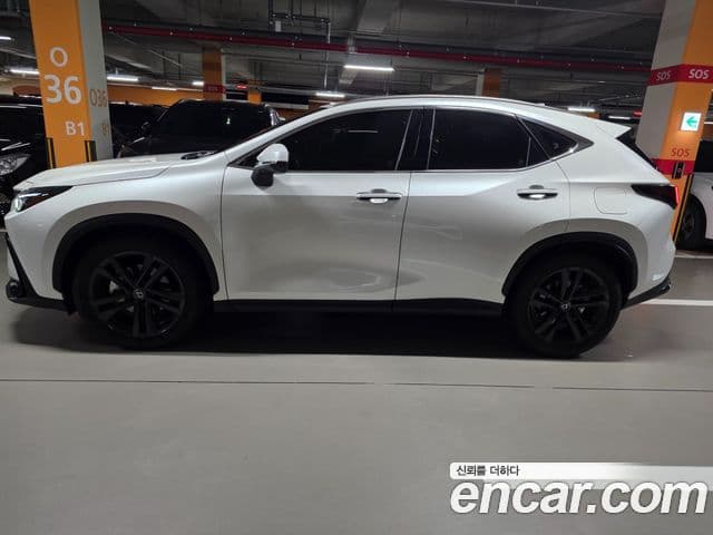 Lexus NX350h 2세대 Premium, 2025 14