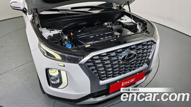 Hyundai Palisade Exclusive, 2020 6