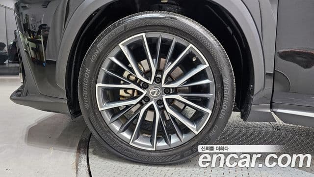 Lexus NX350h 2세대 Premium, 2022 все фото