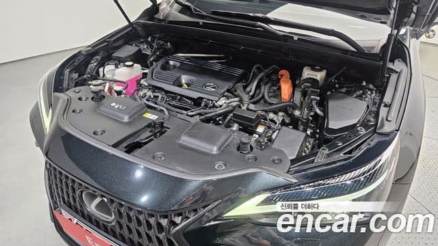Lexus NX350h 2세대 Premium, 2022 6