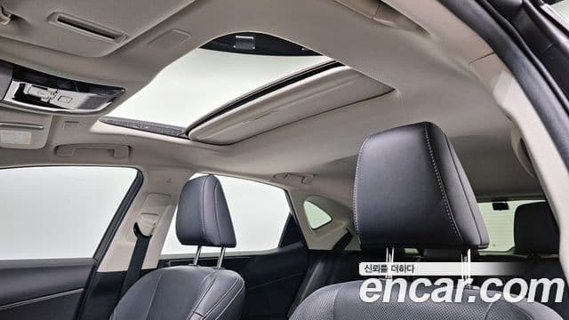 Lexus NX350h 2세대 Premium, 2022 19
