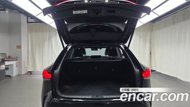 Lexus RX350h 5세대 Luxury, 2024 20