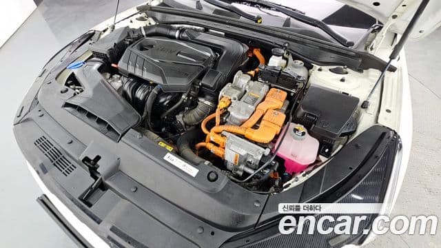 Kia K5 гибрид 3세대 Prestige, 2023 6