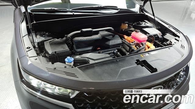 Kia Sorento 4세대 Gravity, 2021 6